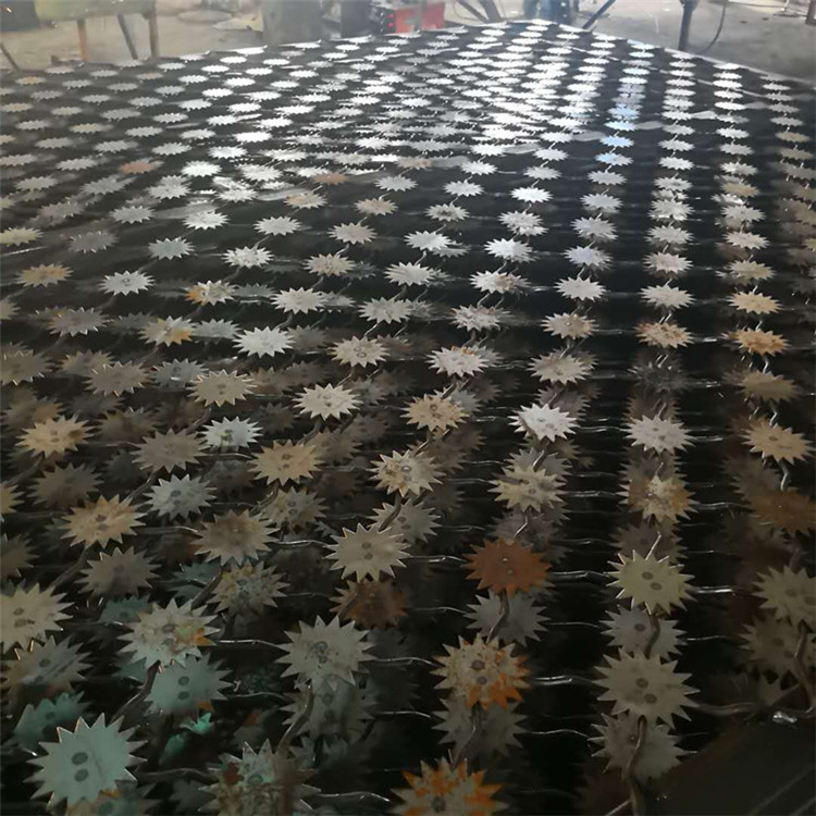 梅花刺監獄防護網案例展示圖片2