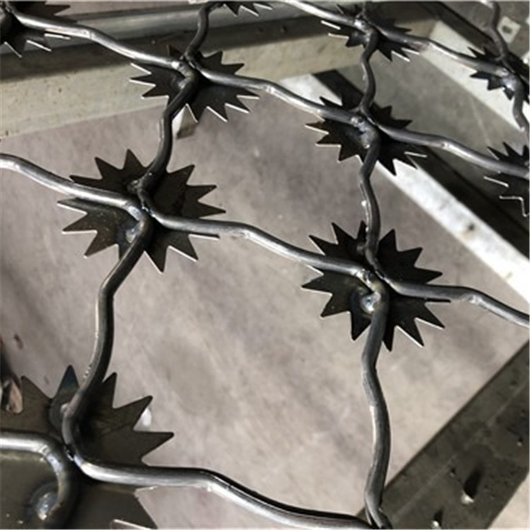 梅花刺隔離網案例展示圖片3 梅花刺隔離網案例展示圖片3