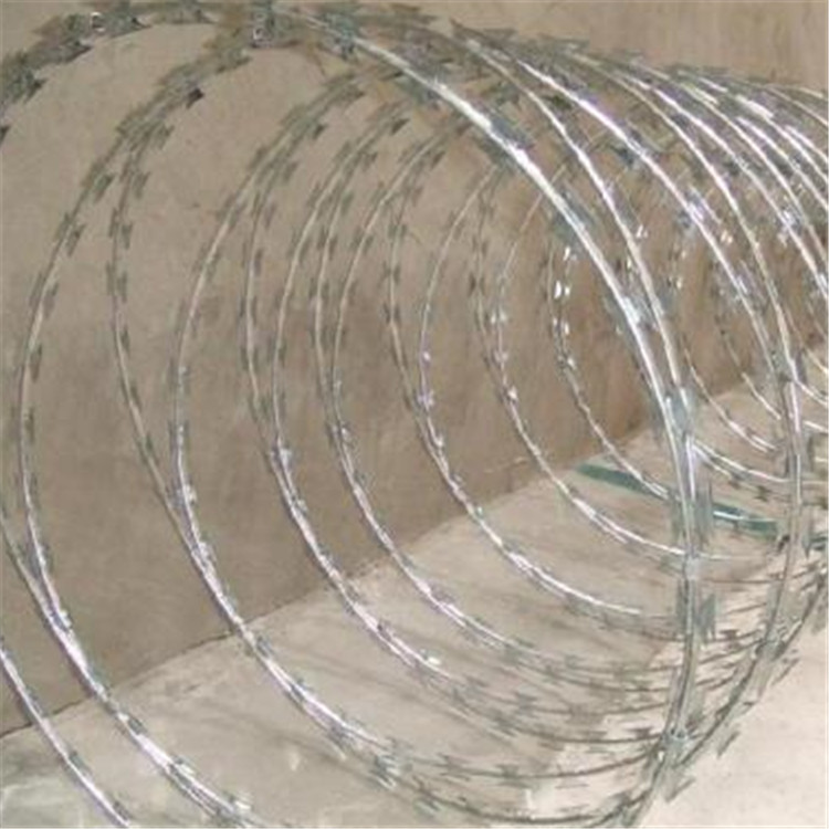 刀刺網案例展示圖片1 刀刺網案例展示圖片1