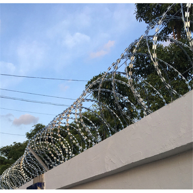 刀刺網案例展示圖片4 刀刺網案例展示圖片4