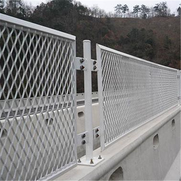 高速防眩網(wǎng)案例展示圖片4 高速防眩網(wǎng)案例展示圖片4